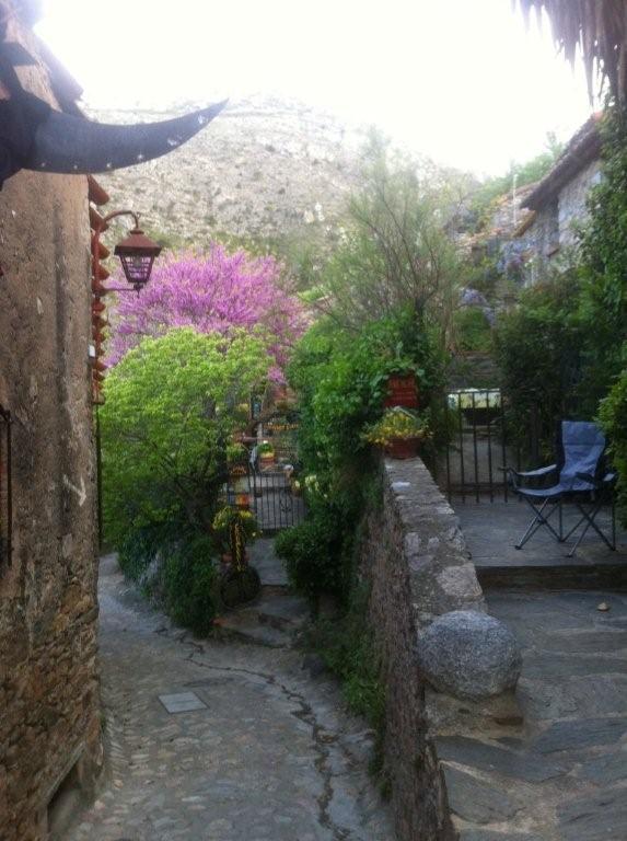 Camélas La Figuera B&B 외부 사진